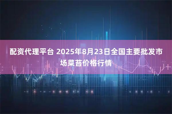 配资代理平台 2025年8月23日全国主要批发市场菜苔价格行情