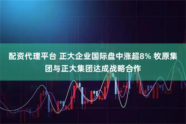 配资代理平台 正大企业国际盘中涨超8% 牧原集团与正大集团达成战略合作